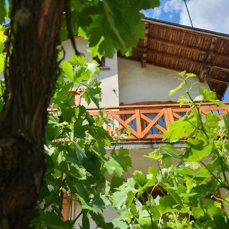 Вила 111 Sapareva Banya Buitenkant foto